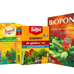 Jaki nawóz na zimę? Najlepsze wybory dla Twoich roślin