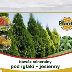 Nawóz jesienny do kiedy stosować, by rośliny przetrwały zimę?