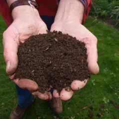 Jak wygląda kompost? 5 cech dojrzałego nawozu organicznego