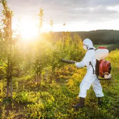 Kiedy opryskiwać drzewa owocowe? Harmonogram i porady