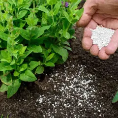 Nawozy organiczne czy mineralne: co wybrać dla lepszych upraw?
