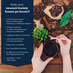 Nawóz z kawy do czego? Zastosowanie i korzyści dla roślin w ogrodzie
