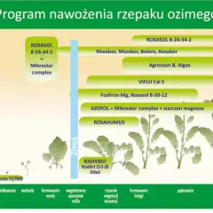 Jaki nawóz do żurawki: 8 skutecznych metod nawożenia