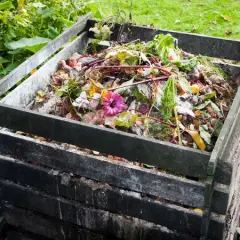 Kiedy kompost pod warzywa? Najlepsze terminy i sposoby użycia