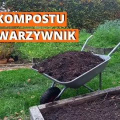 Ile kompostu do ziemi? Sprawdzone proporcje dla bujnego ogrodu