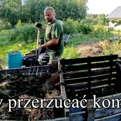 Kiedy rozrzucać kompost? Najlepszy czas i skuteczne techniki