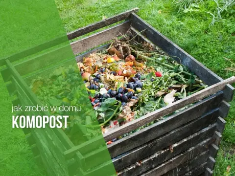 Jak zrobić kompost w domu: 8 kroków do własnego nawozu