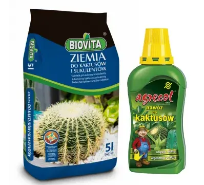 Jaki nawóz do kaktusów? Sekrety zdrowych roślin pustynnych