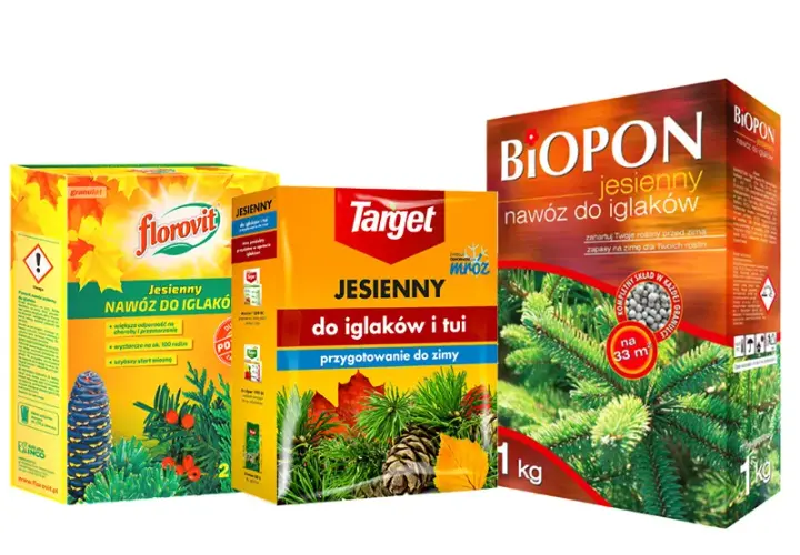 Jaki nawóz na zimę? Najlepsze wybory dla Twoich roślin