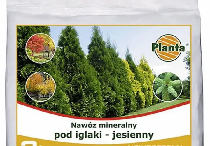 Nawóz jesienny do kiedy stosować, by rośliny przetrwały zimę?