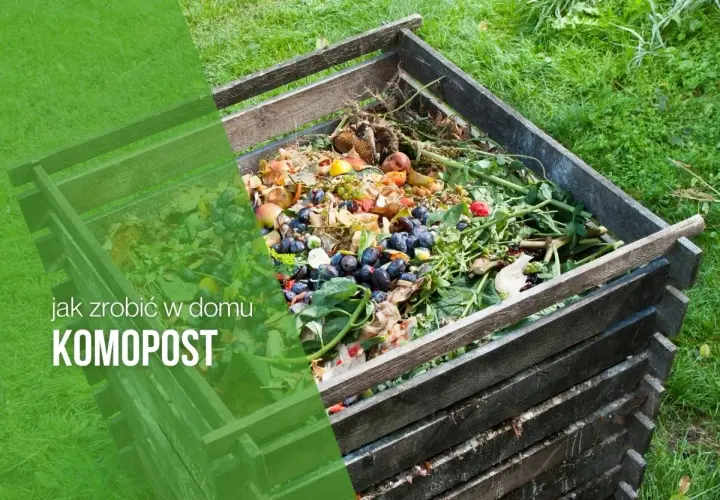 Jak zrobić kompost w domu: 8 kroków do własnego nawozu
