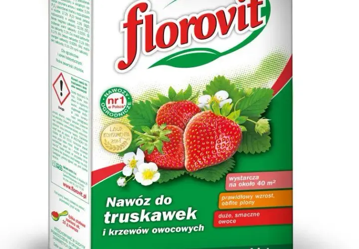 Jaki nawóz na wiosnę na truskawki zapewni obfite plony i zdrowy wzrost?