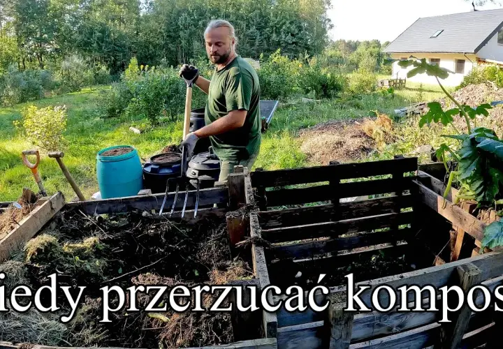 Kiedy rozrzucać kompost? Najlepszy czas i skuteczne techniki