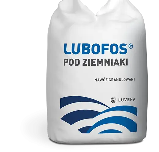 Najlepsze nawozy pod ziemniaki skrobiowe: co, kiedy i jak stosować