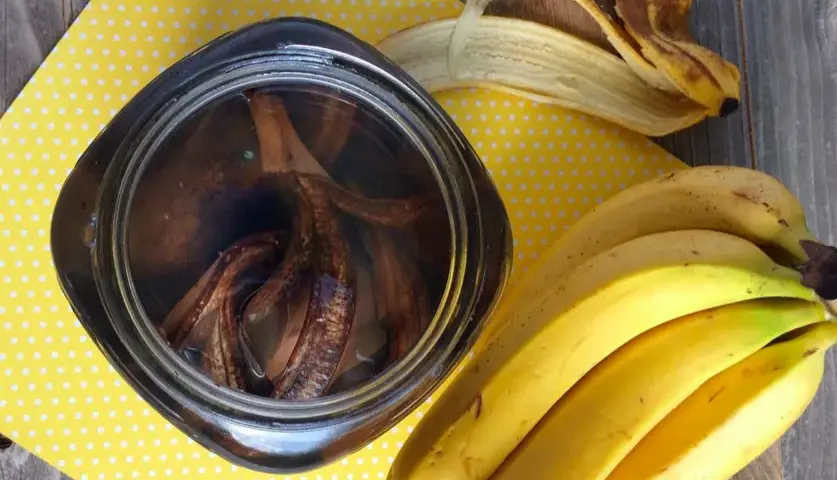 Jak zrobić nawóz ze skórki z banana? Proste metody, które zaskoczą!
