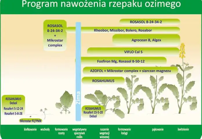 Jaki nawóz do żurawki: 8 skutecznych metod nawożenia