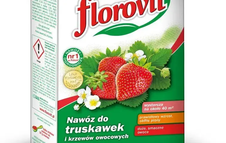 Jaki nawóz na wiosnę na truskawki zapewni obfite plony i zdrowy wzrost?