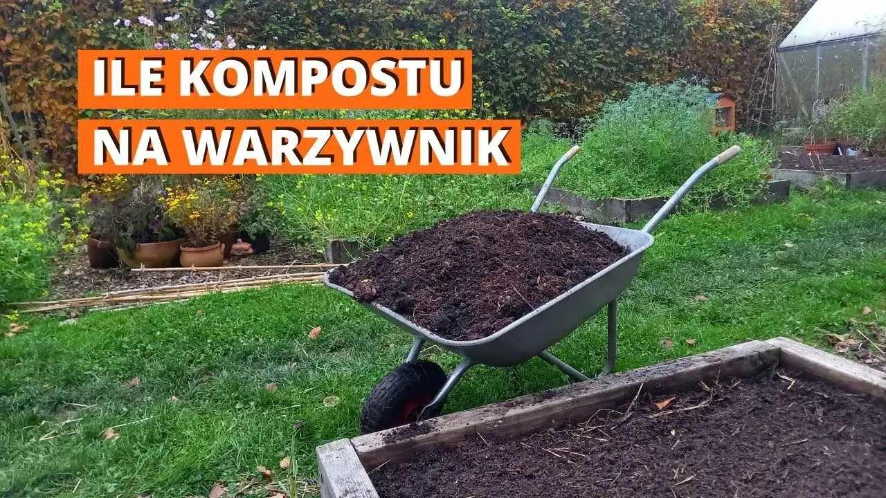 Ile kompostu do ziemi? Sprawdzone proporcje dla bujnego ogrodu