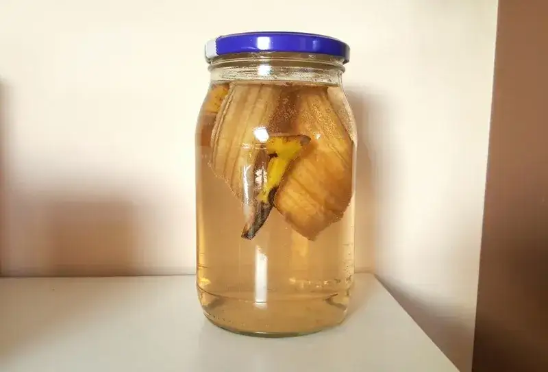 Zdjęcie Jak zrobić nawóz ze skórki z banana? Proste metody, które zaskoczą!